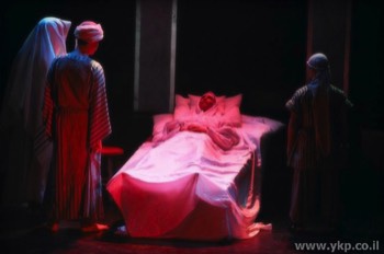 מות דוד (השכנים 1995) 